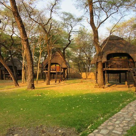 The Tree Lodge At Sikumi Dete Esterno foto