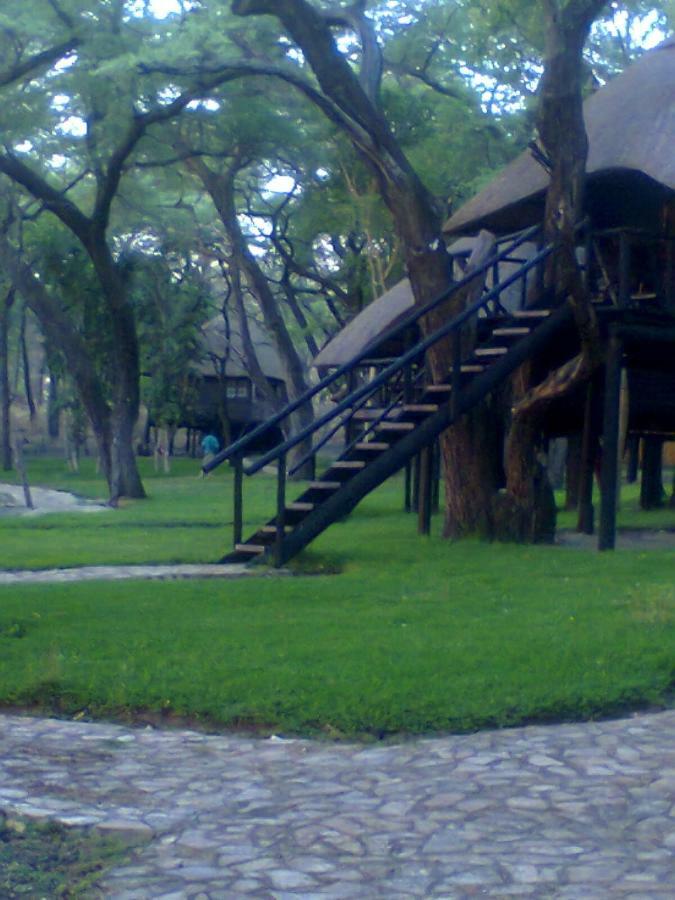 The Tree Lodge At Sikumi Dete Esterno foto