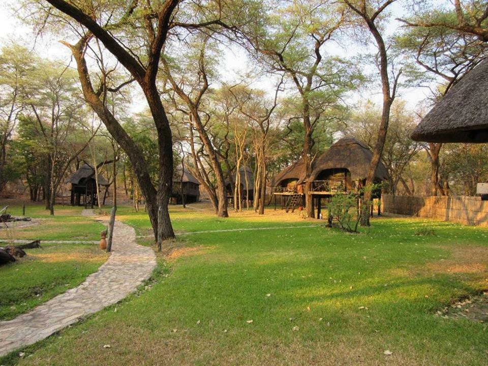 The Tree Lodge At Sikumi Dete Esterno foto
