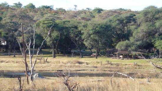 The Tree Lodge At Sikumi Dete Esterno foto