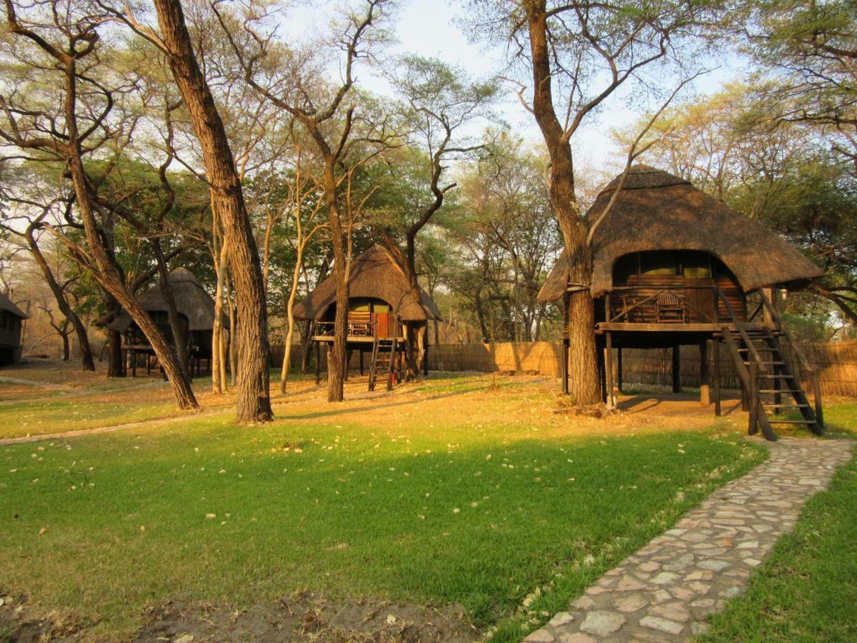 The Tree Lodge At Sikumi Dete Esterno foto