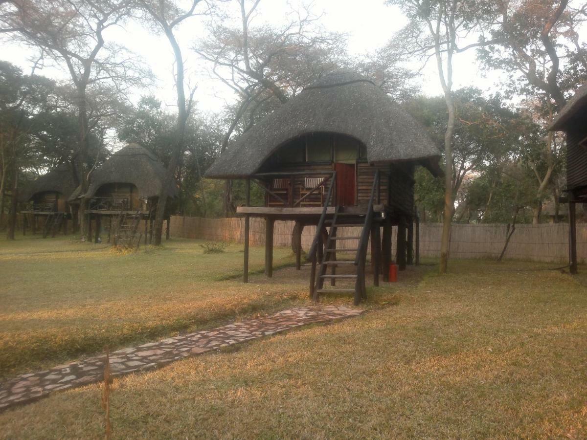 The Tree Lodge At Sikumi Dete Esterno foto