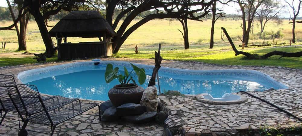 The Tree Lodge At Sikumi Dete Esterno foto