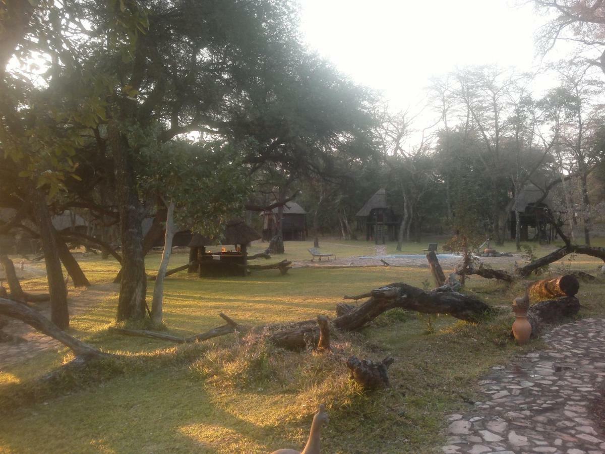 The Tree Lodge At Sikumi Dete Esterno foto