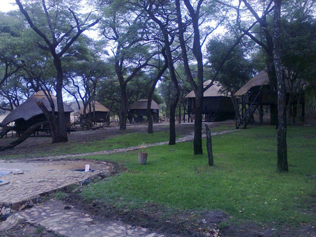 The Tree Lodge At Sikumi Dete Esterno foto