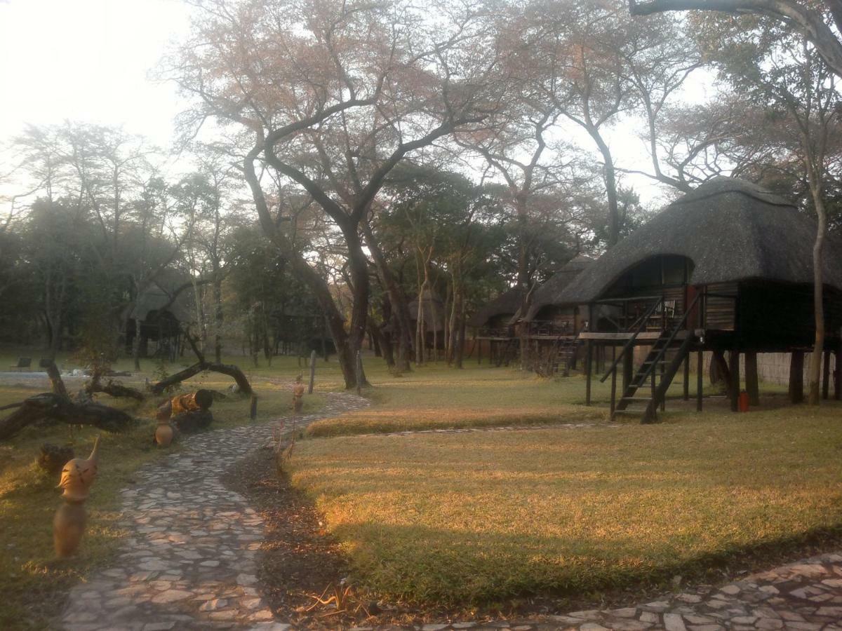 The Tree Lodge At Sikumi Dete Esterno foto