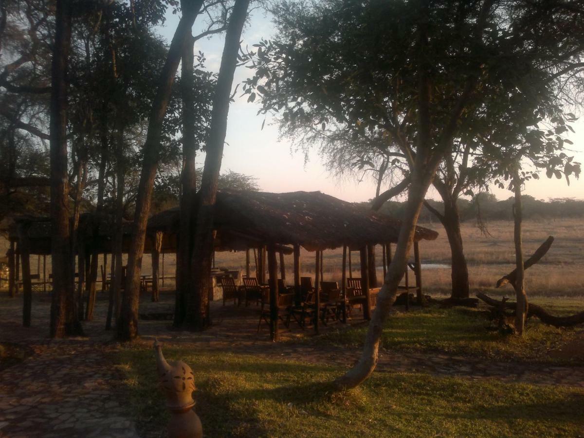 The Tree Lodge At Sikumi Dete Esterno foto