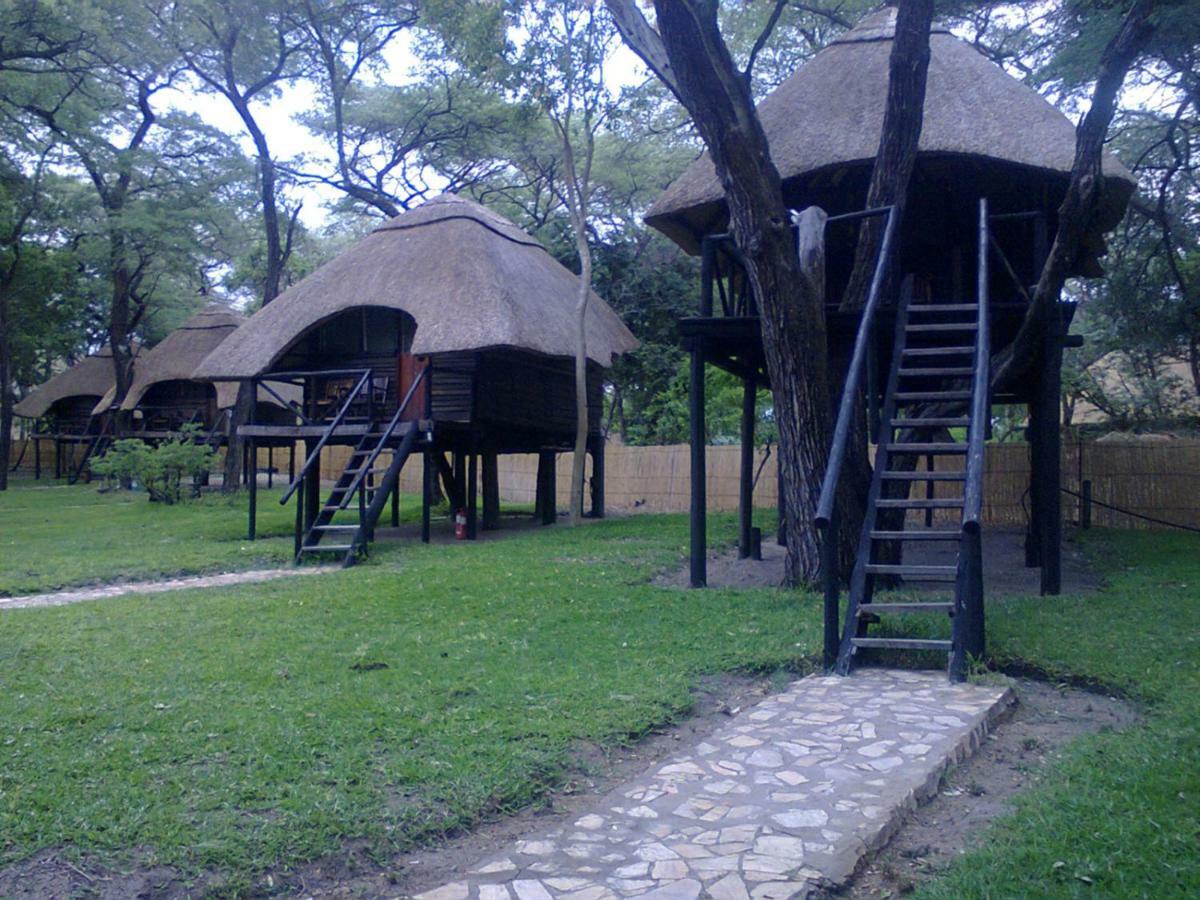 The Tree Lodge At Sikumi Dete Esterno foto